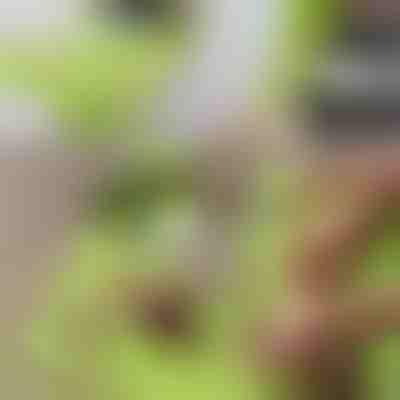 Deska do Krojenia bez Bałaganu z Odłączanym Pojemnikiem 2 w 1 | CHOPPINATA