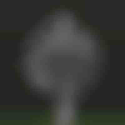 Magiczny ogrodowy wiatrak kinetyczny | WINDARA