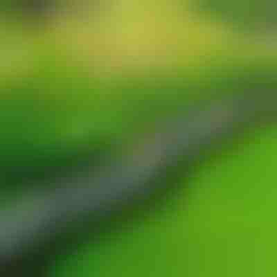 Kamienne obrzeże ogrodowe (10 szt.) | MINIFENCE