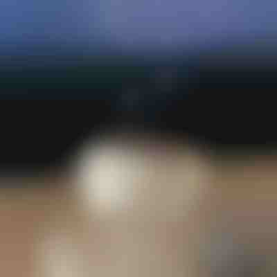 Kojący dyfuzor aromatu | MEDUSAMIST